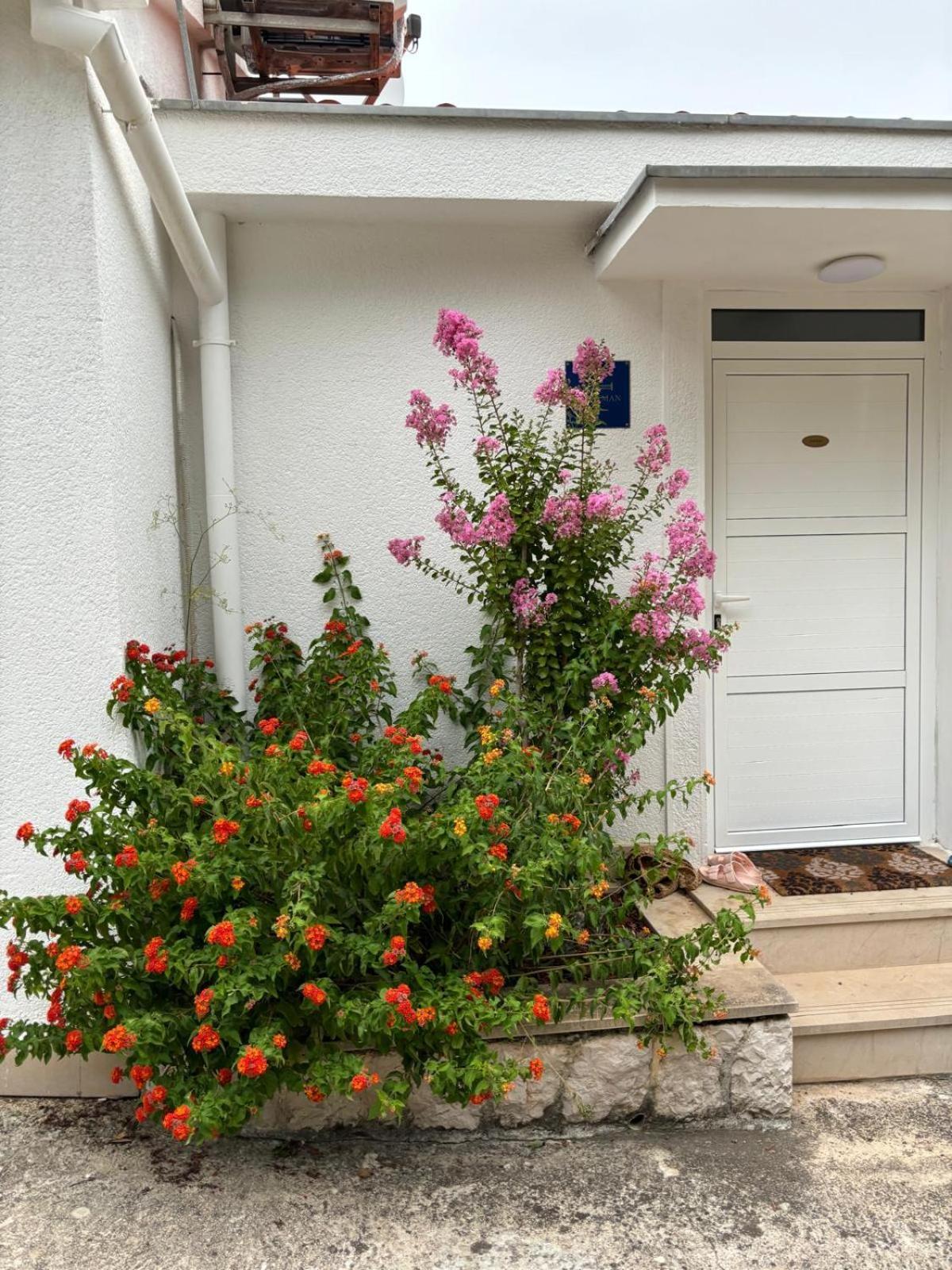 Viducic Apartments Dragove Exterior photo